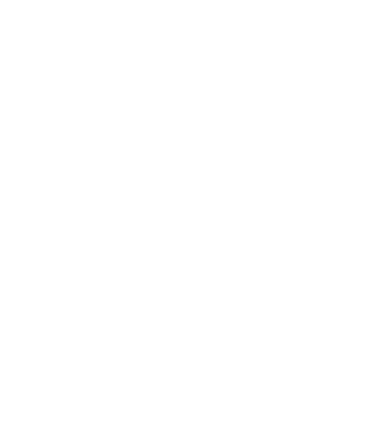 logo completa